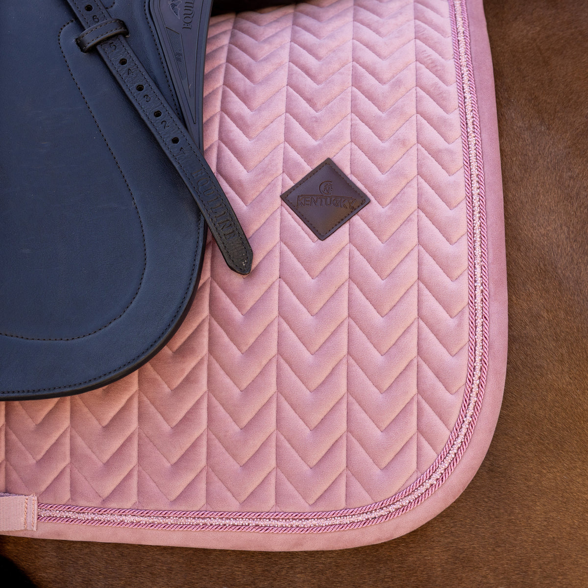 Schabracke Samt Mini Perlen Dressur