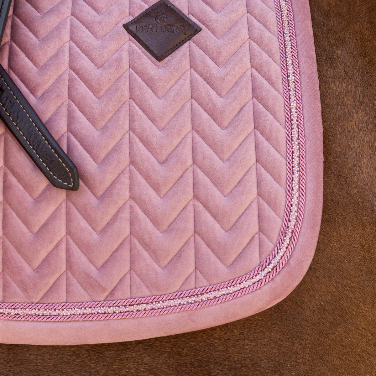 Schabracke Samt Mini Perlen Dressur