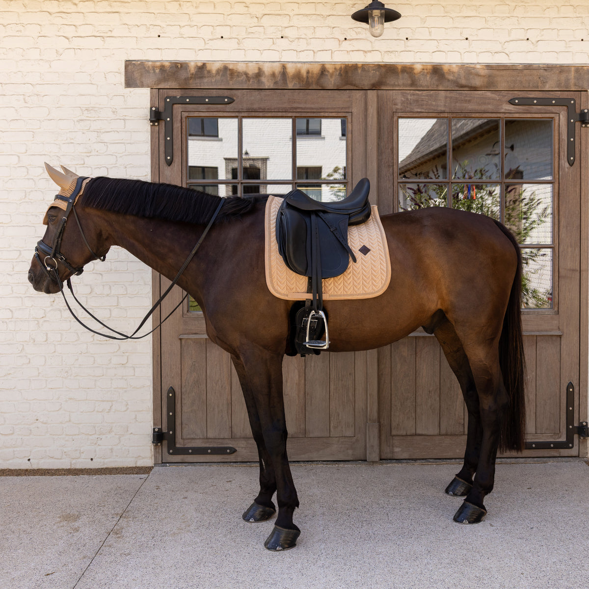 Schabracke Samt Mini Perlen Dressur