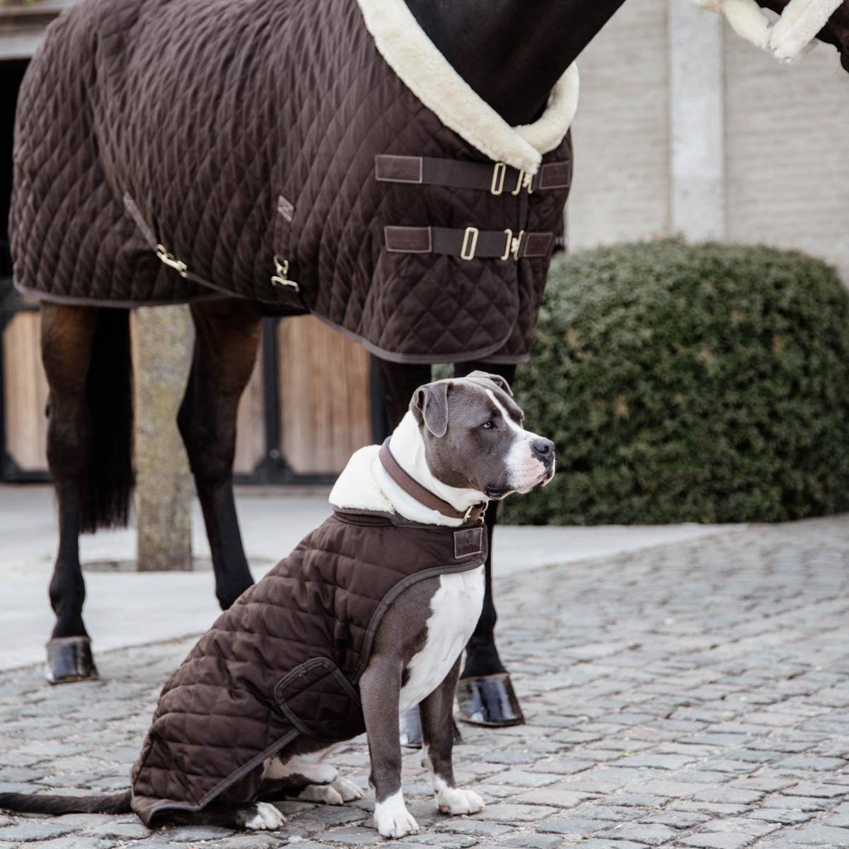 Hundemantel Original