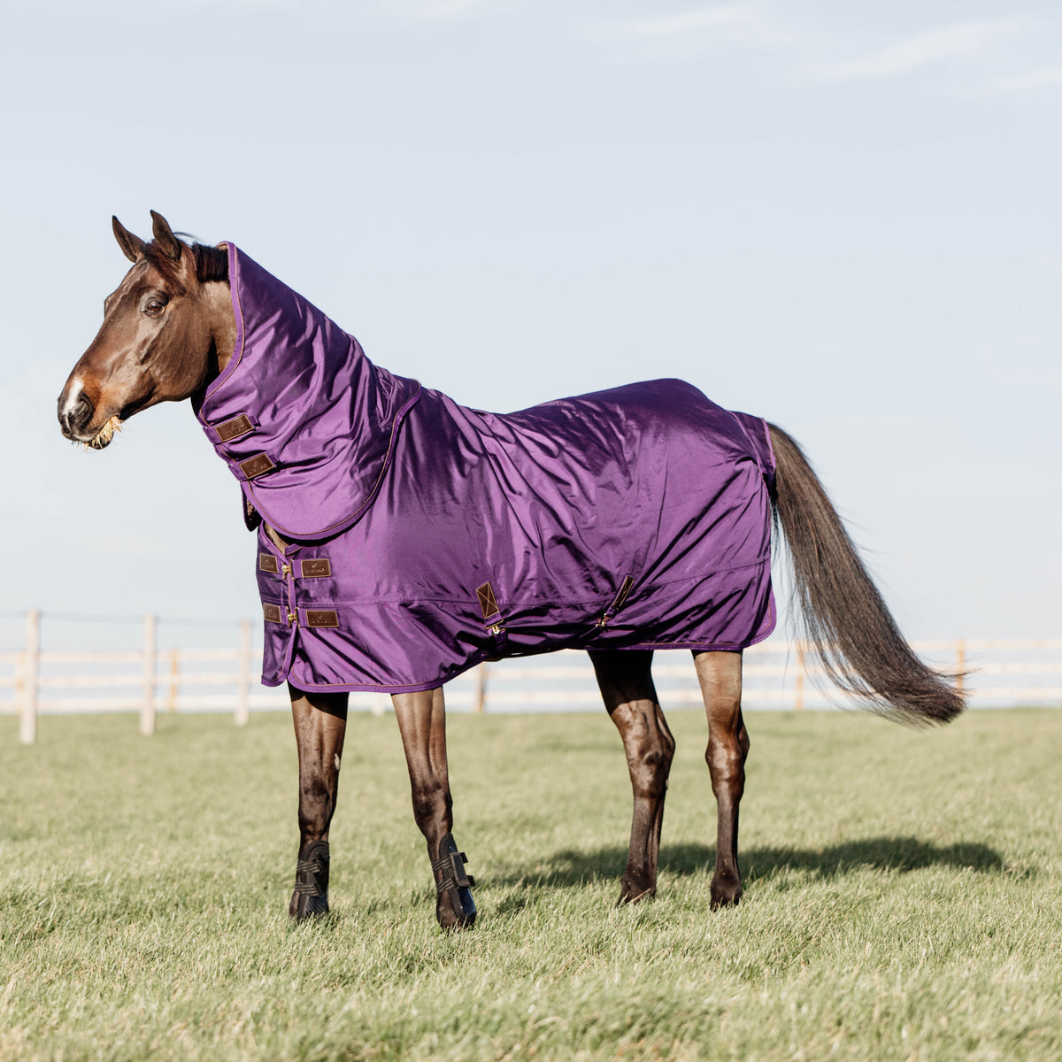 Winterdecke Wetter Wasserdichte Schwartz 125 5
