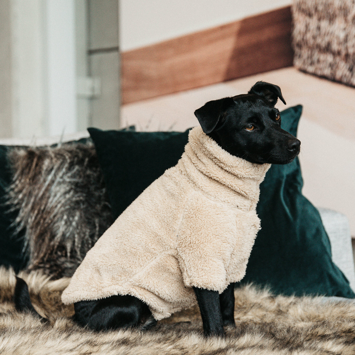 Hunde Pullover Teddy Fleece