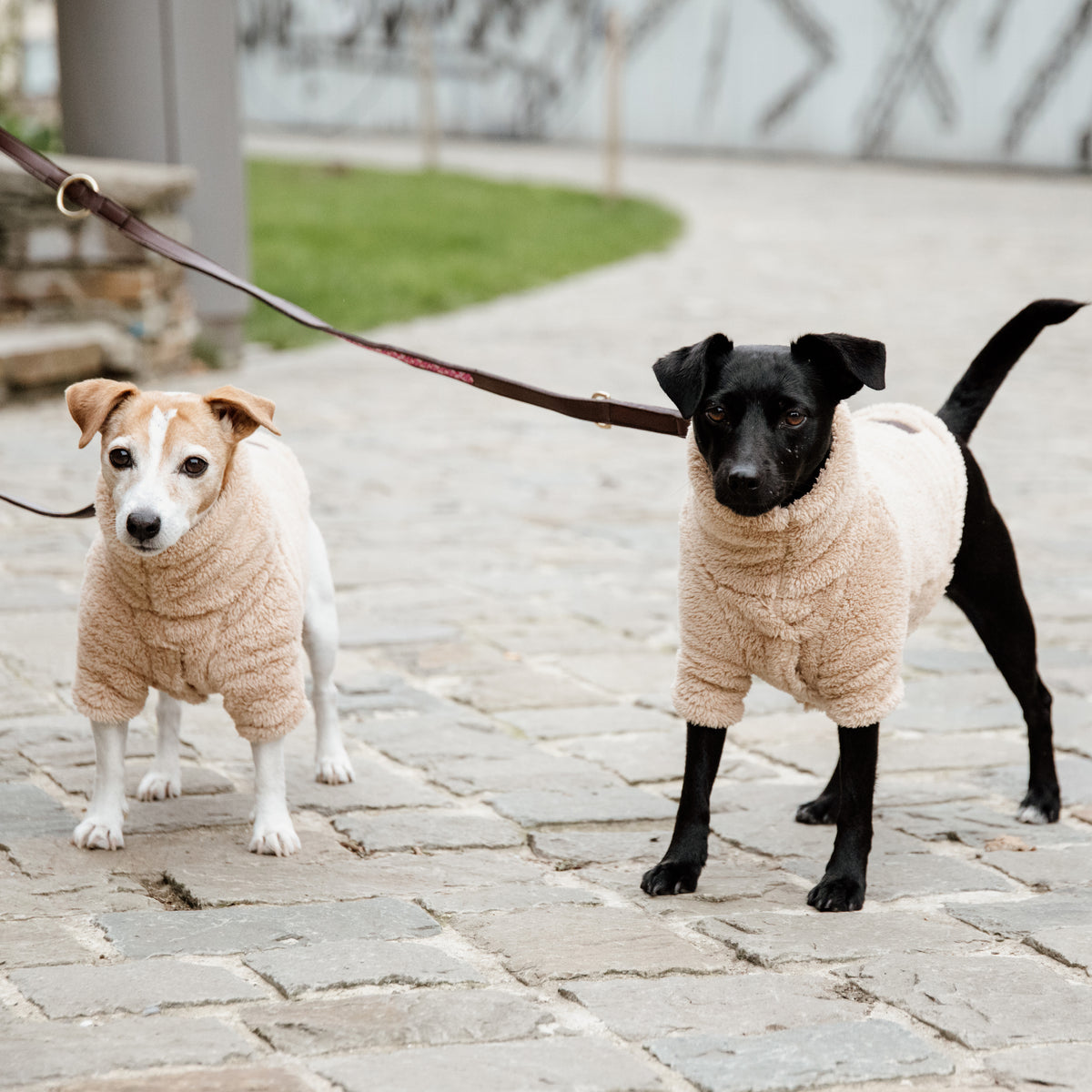 Hunde Pullover Teddy Fleece