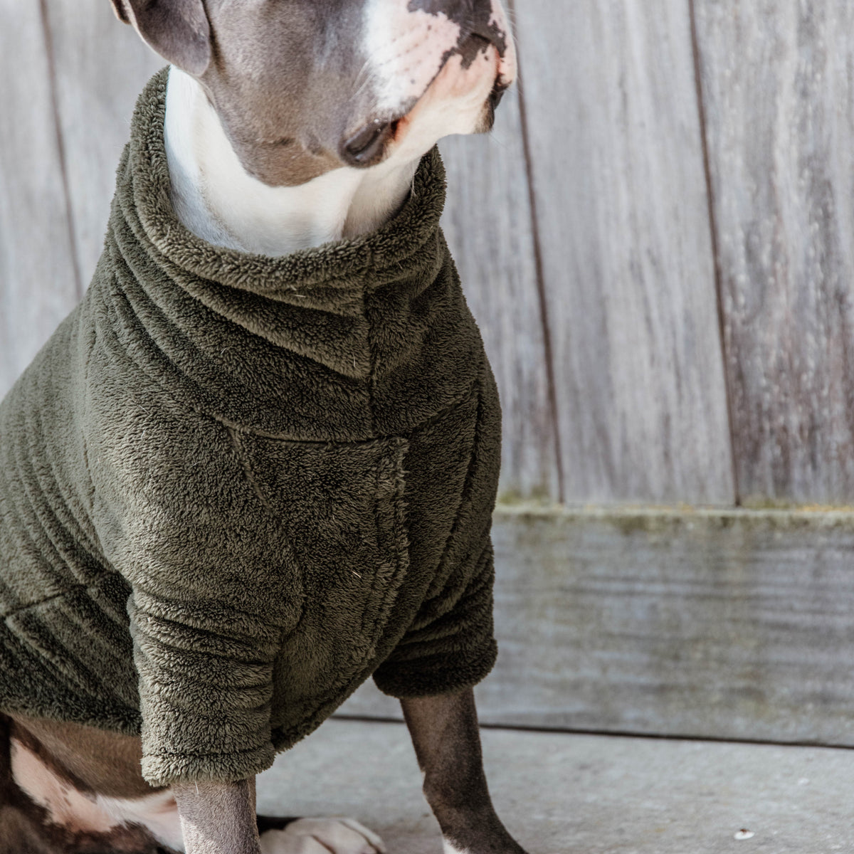 Hunde Pullover Teddy Fleece