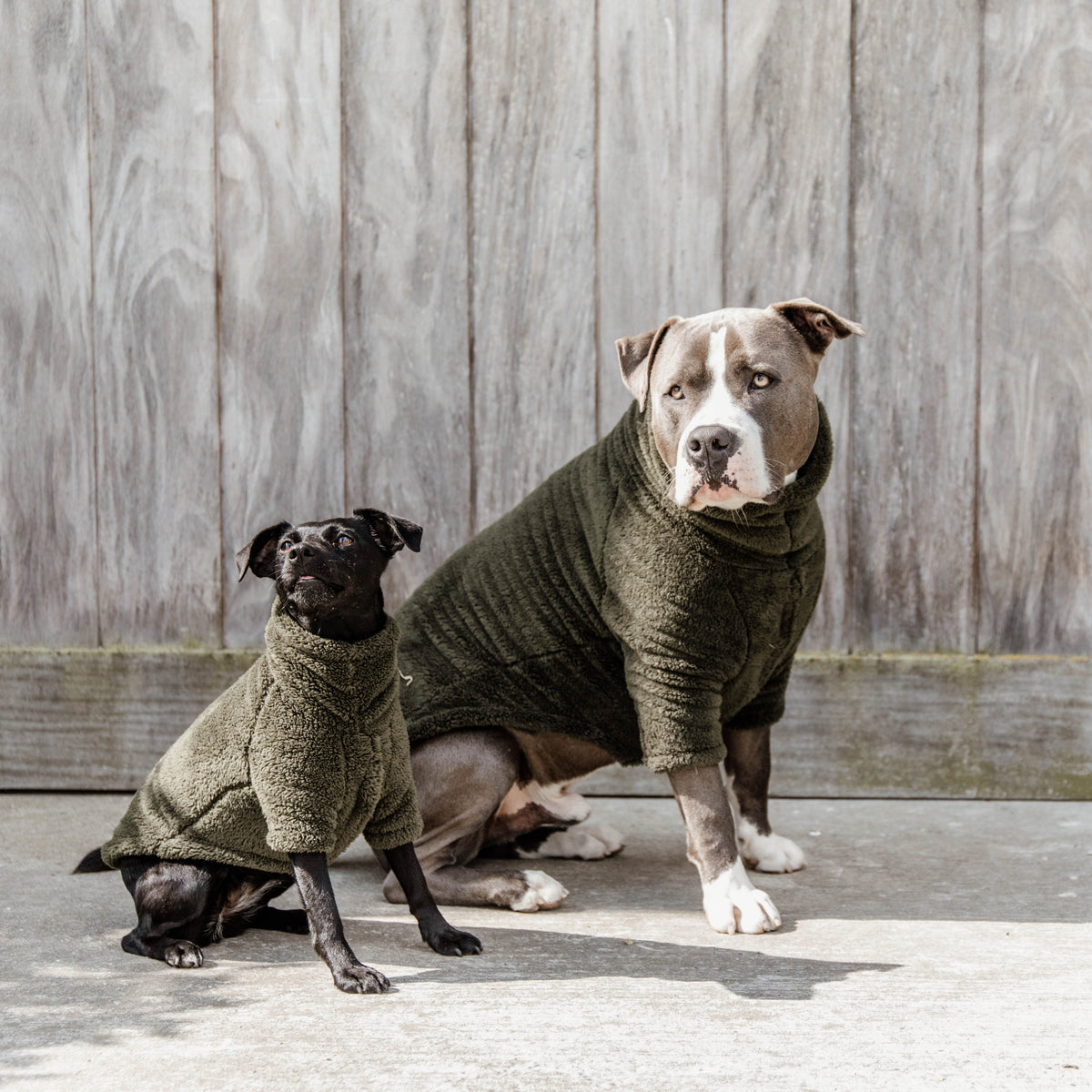 Hunde Pullover Teddy Fleece