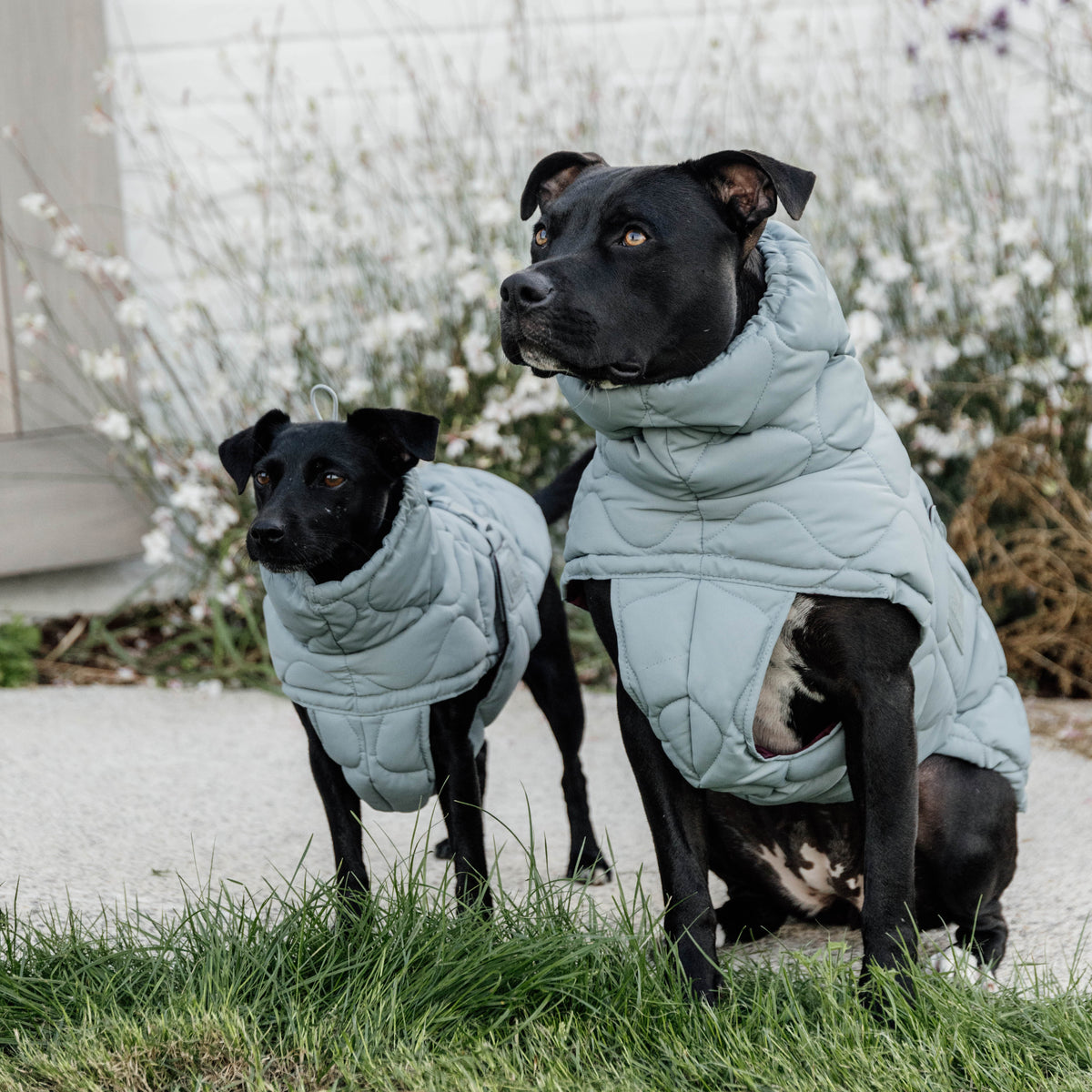 Hundemantel Winter Pina