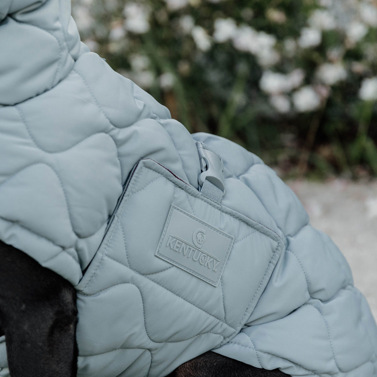 Hundemantel Winter Pina