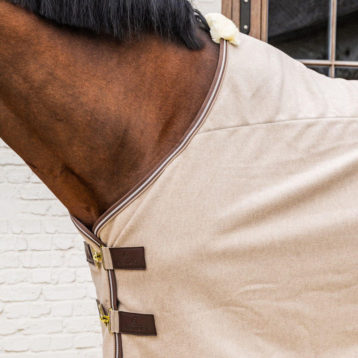Abschwitzdecke Fleece Melange 125 5