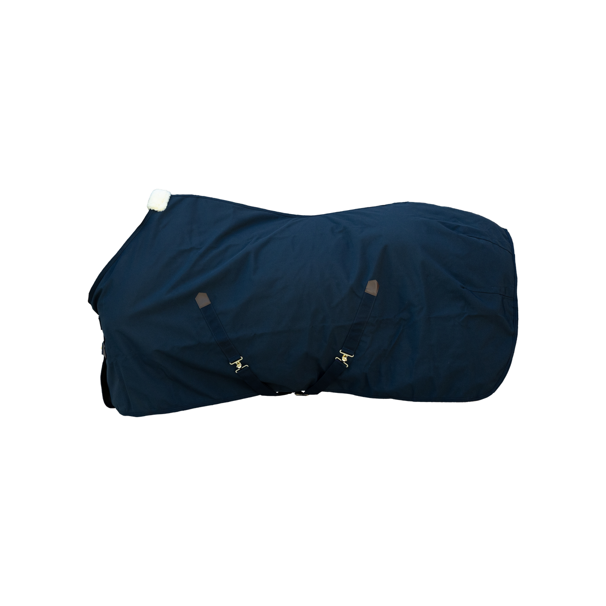 Canvas Decke 125 5