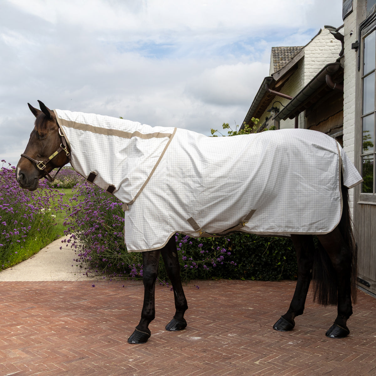 Sweet Itch Fliegen Sommerdecke 125 5