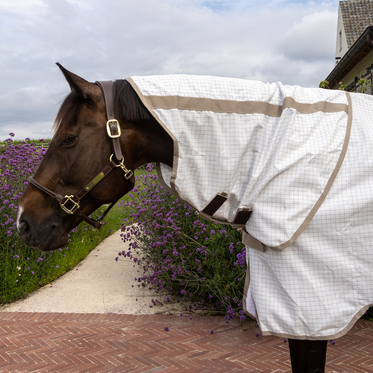 Sweet Itch Fliegen Sommerdecke 125 5