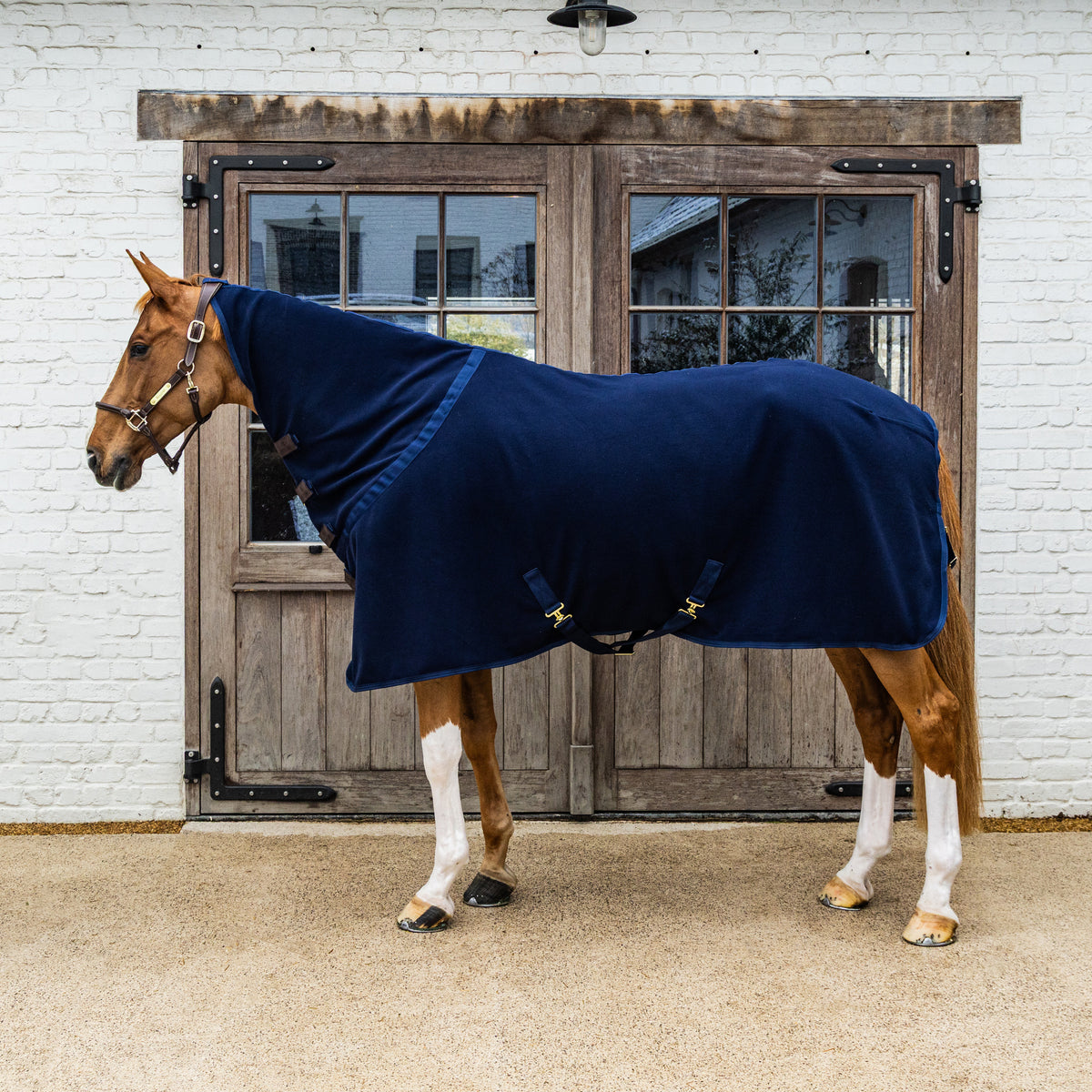 Abschwitzdecke Fleece Mit Halsteil Schwartz 125 5
