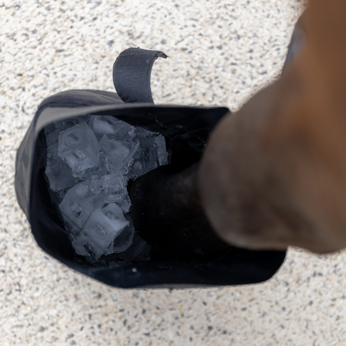 Hufschuh Kranken Eisschuh