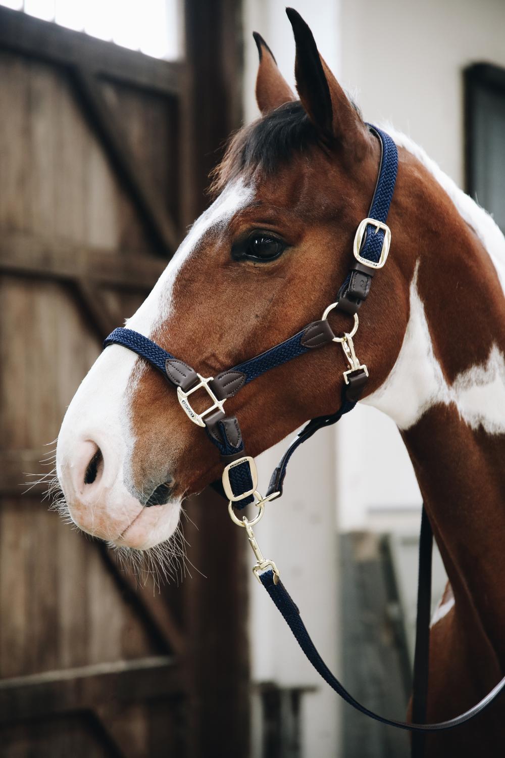 Halfter Plaited Nylon - Kentucky Horsewear
