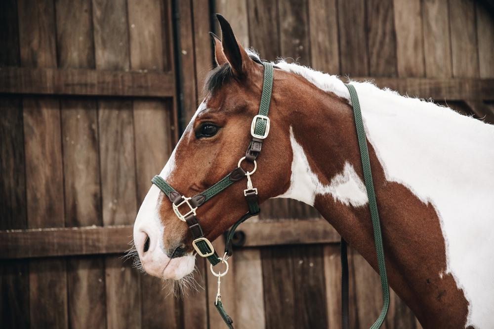 Halfter Plaited Nylon - Kentucky Horsewear