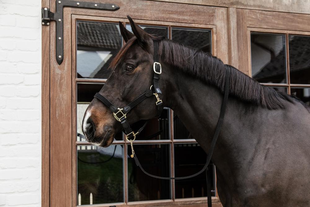 Leine Plaited Nylon - Kentucky Horsewear