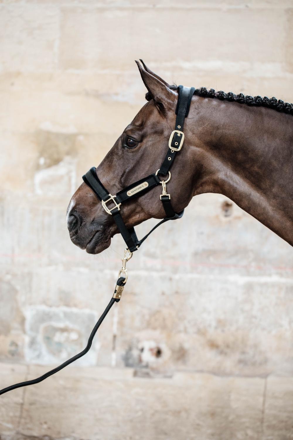 Führstrick Basic - Kentucky Horsewear