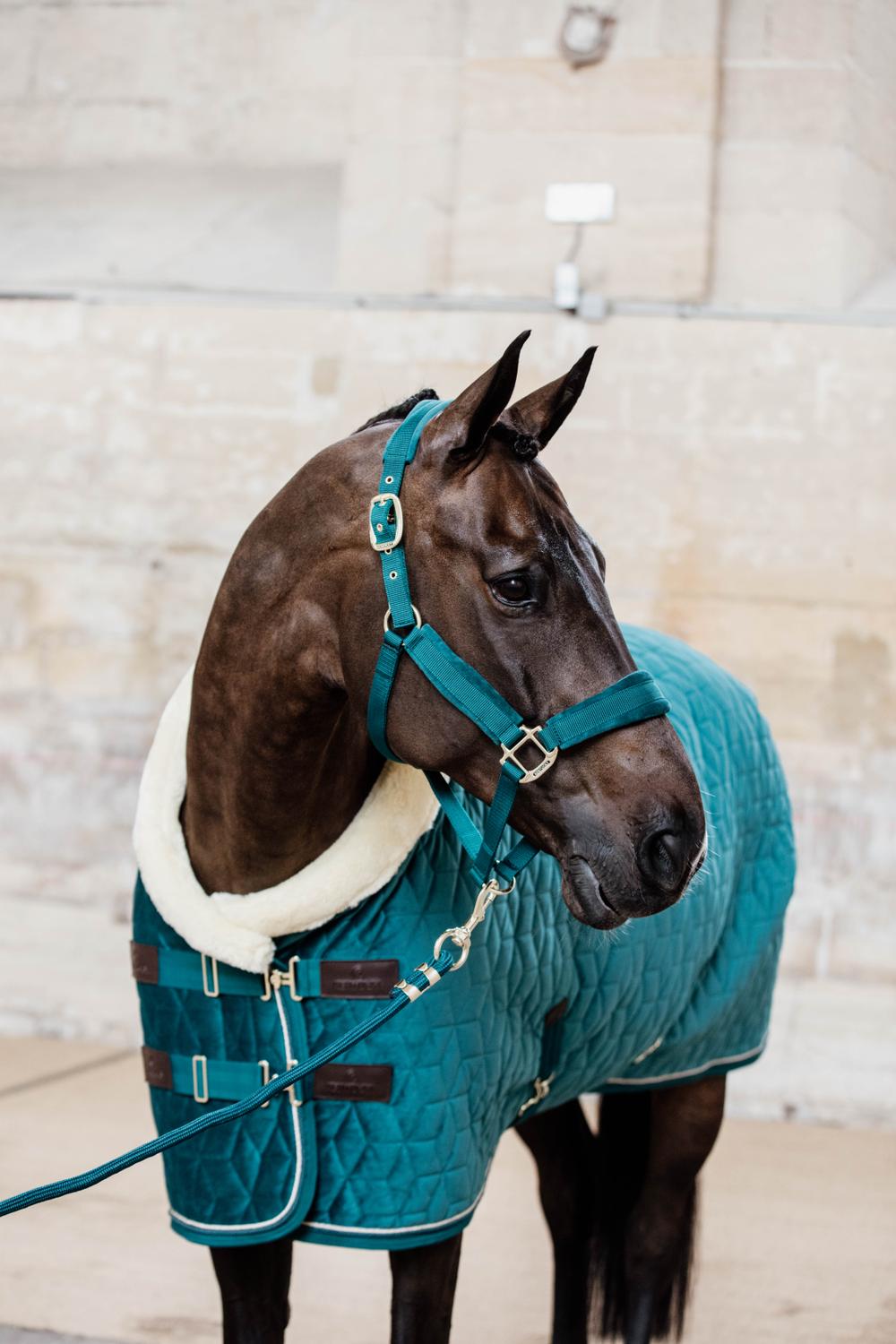 Führstrick Basic - Kentucky Horsewear