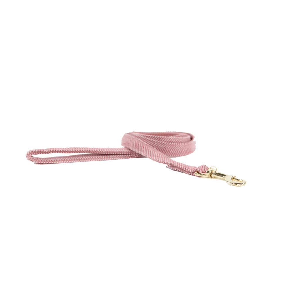 Hundeleine Wolle Kurz - Kentucky Dogwear