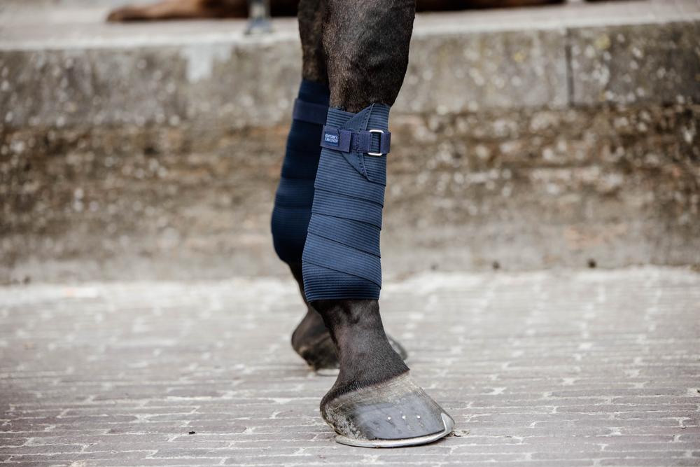 Fleece & Elastik Bandagen - Kentucky Horsewear