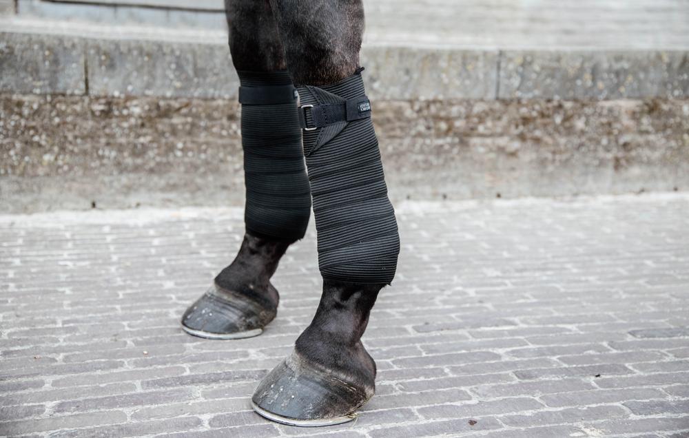 Elastik Bandagen - Kentucky Horsewear
