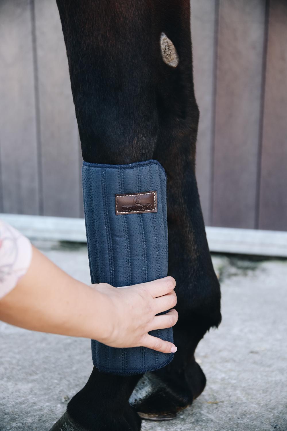 Bandagierunterlagen Absorb - Kentucky Horsewear