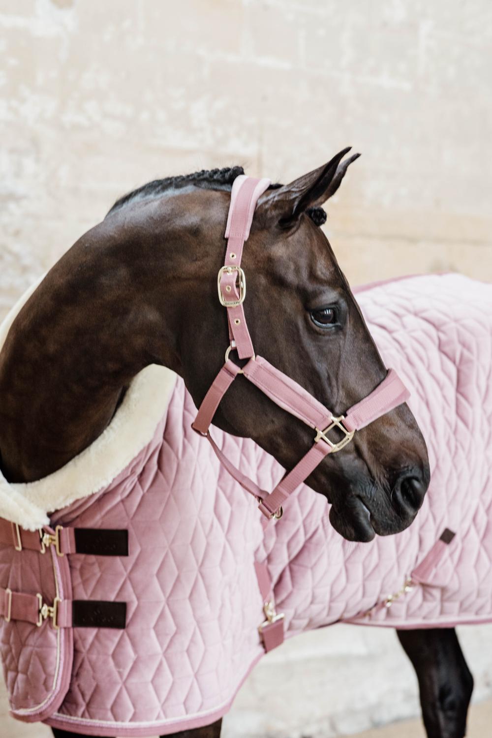 Velvet Halfter - Kentucky Horsewear