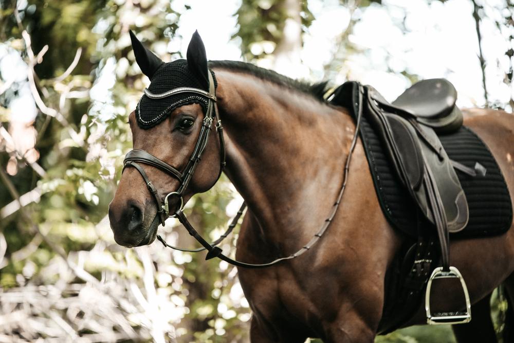 Schabracke Pearls Dressur - Kentucky Horsewear