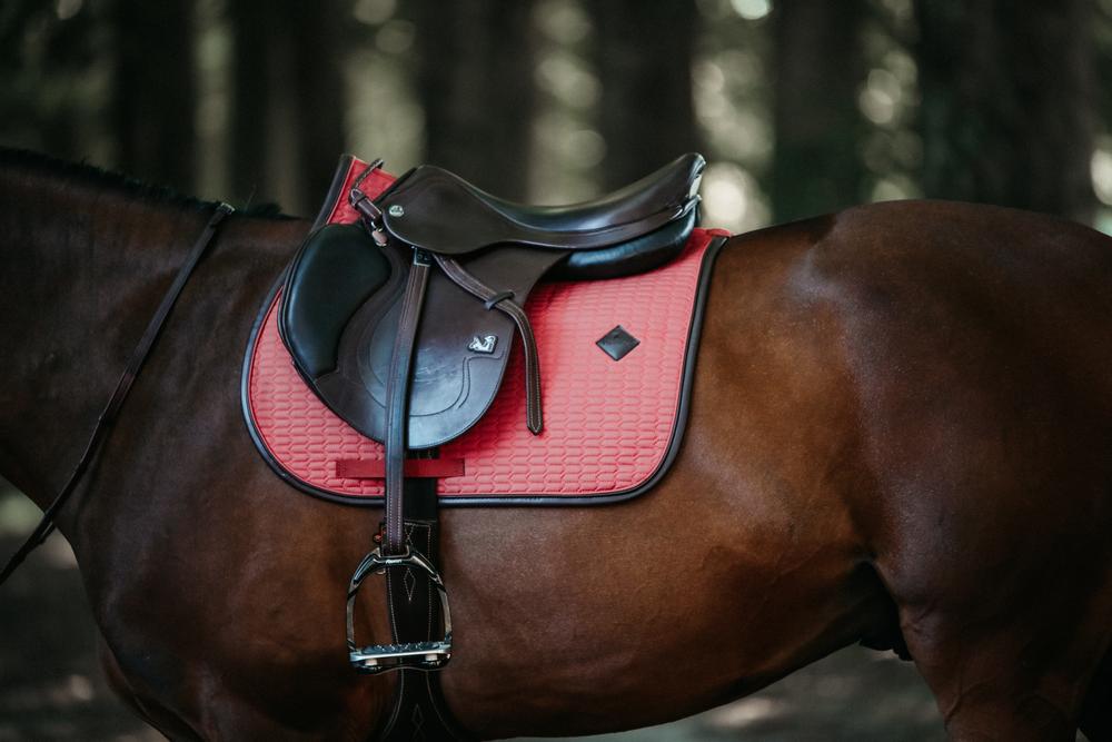 Schabracke Leder Color Edition Springen - Kentucky Horsewear