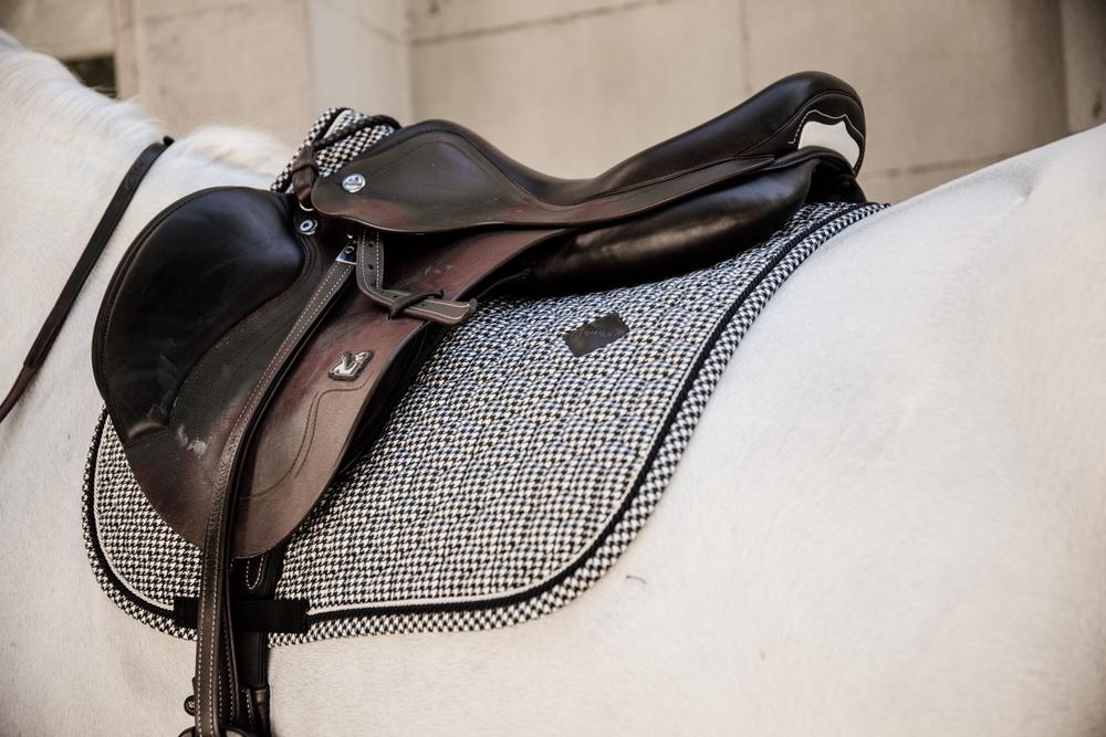 Schabracke Pied-De-Poule Springen Beige - Kentucky Horsewear