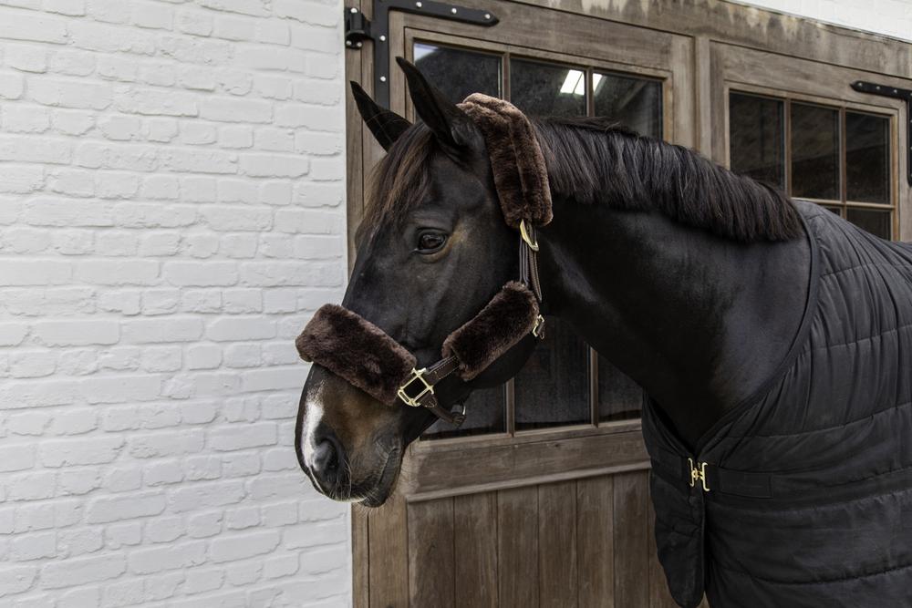 Lammfell Halfterset 4-Teilig - Kentucky Horsewear