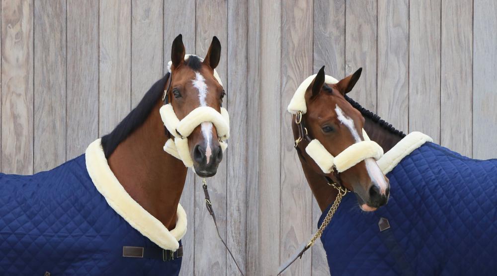 Lammfell Halfterset 4-Teilig - Kentucky Horsewear