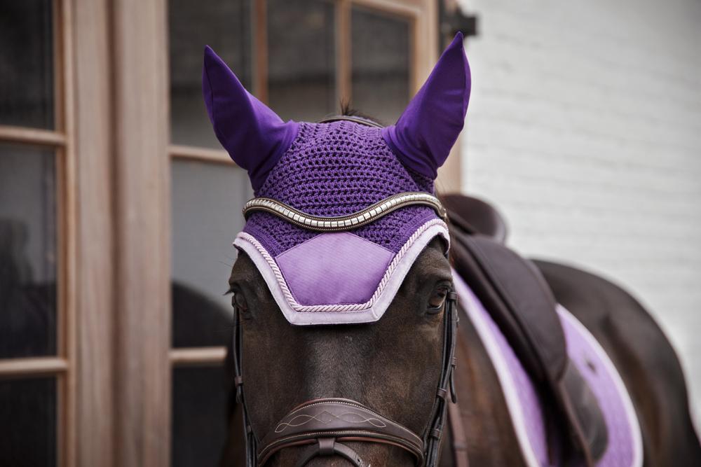 Fliegenhaube Wellington Velvet Kontrast - Kentucky Horsewear