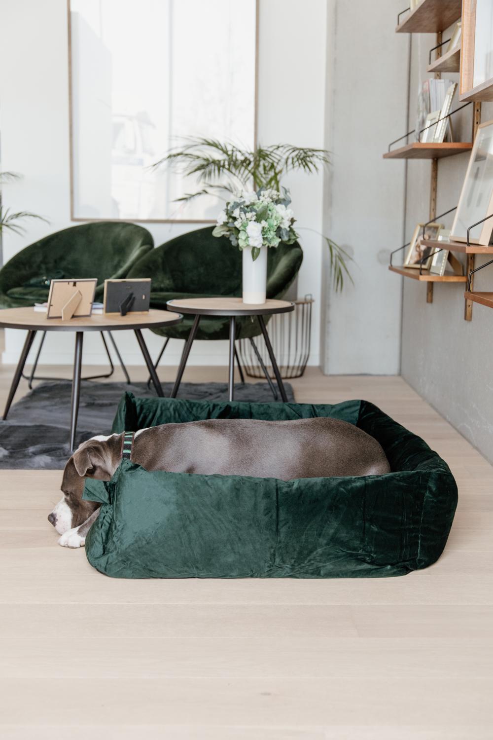 Hundebett Velvet - Kentucky Dogwear