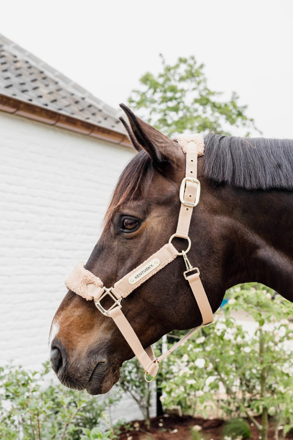 Teddy Fleece Halfter - Kentucky Horsewear