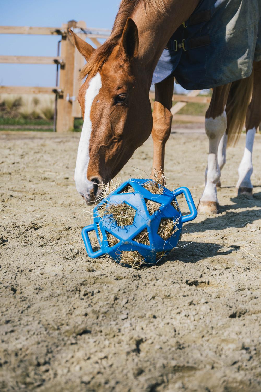 Relax Pferde Spiel & Heuball - Kentucky Horsewear