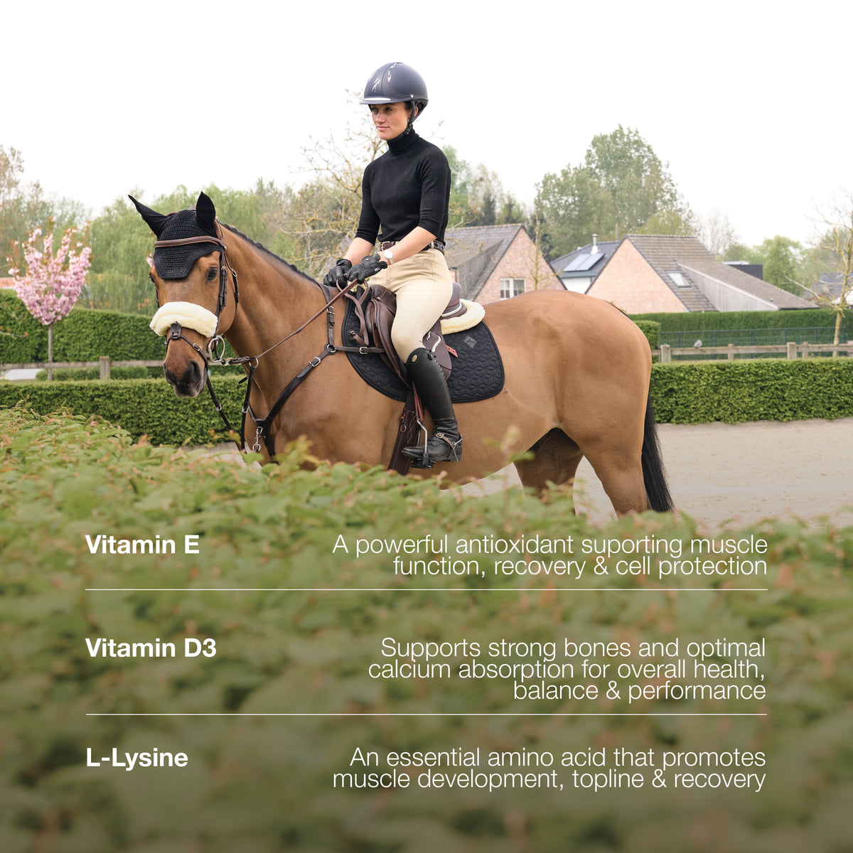 Gd Vitamin Booster Vital
