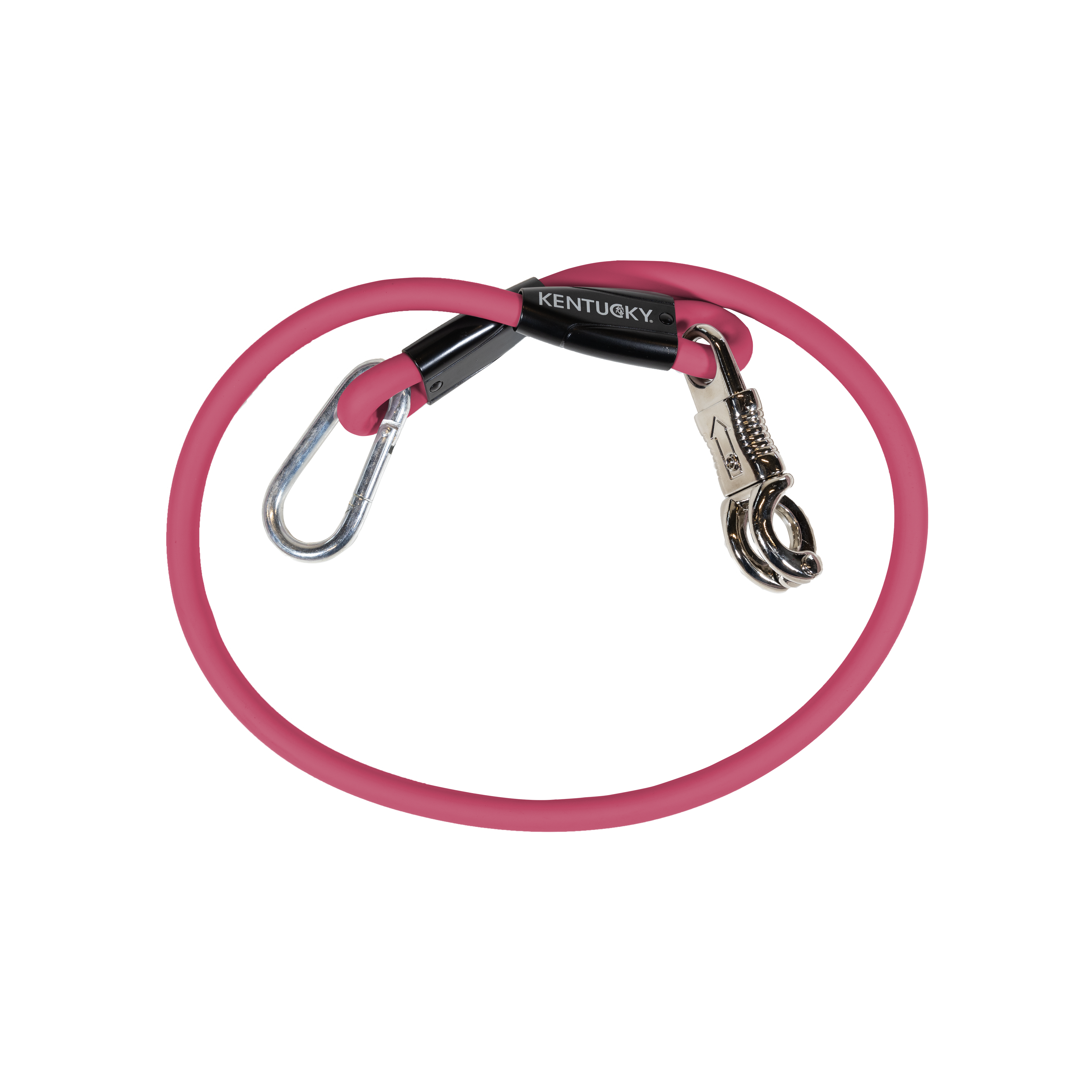 Horse Box Lead & Cross Ties Anbinder Silicone