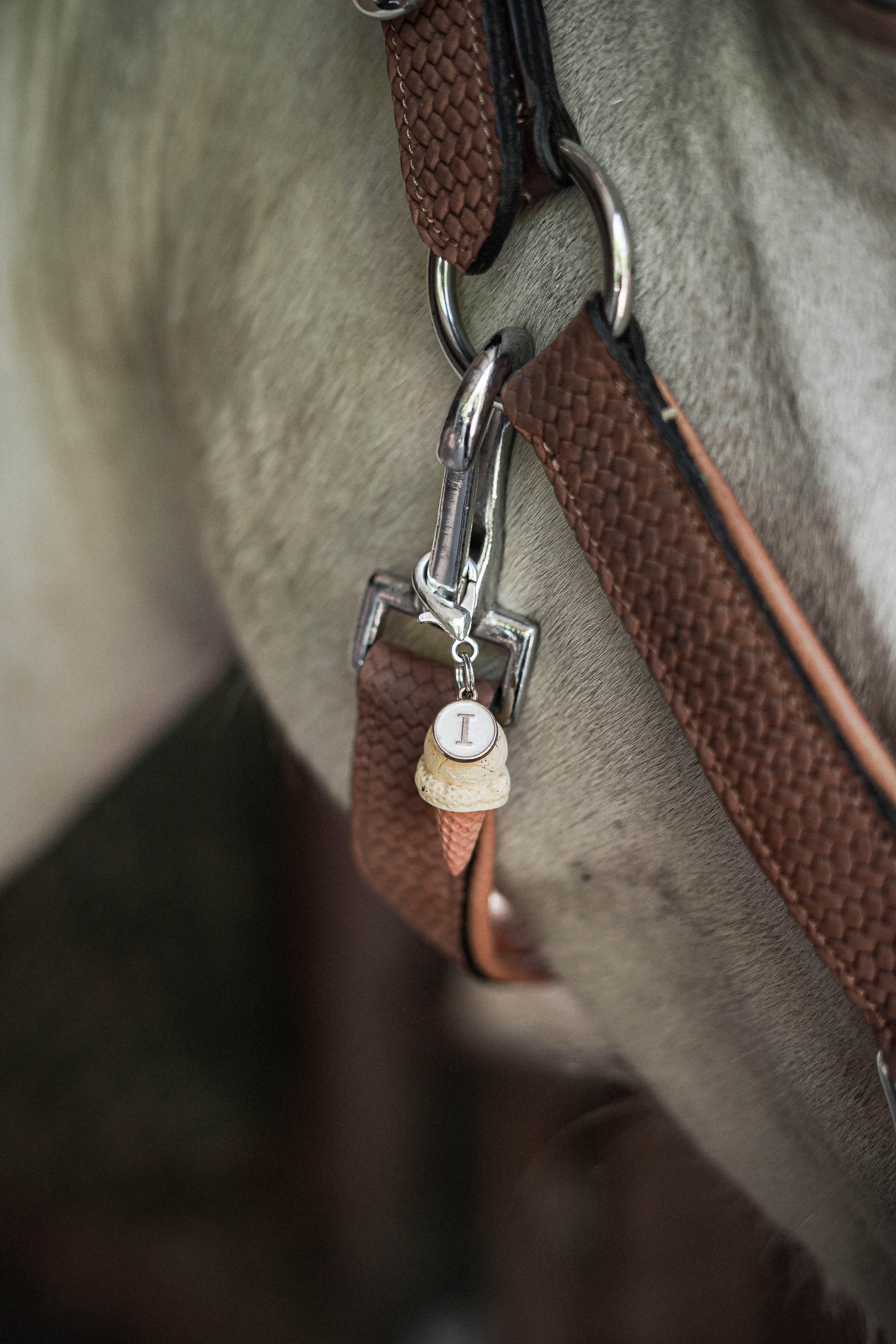 ICE CREAM Charm