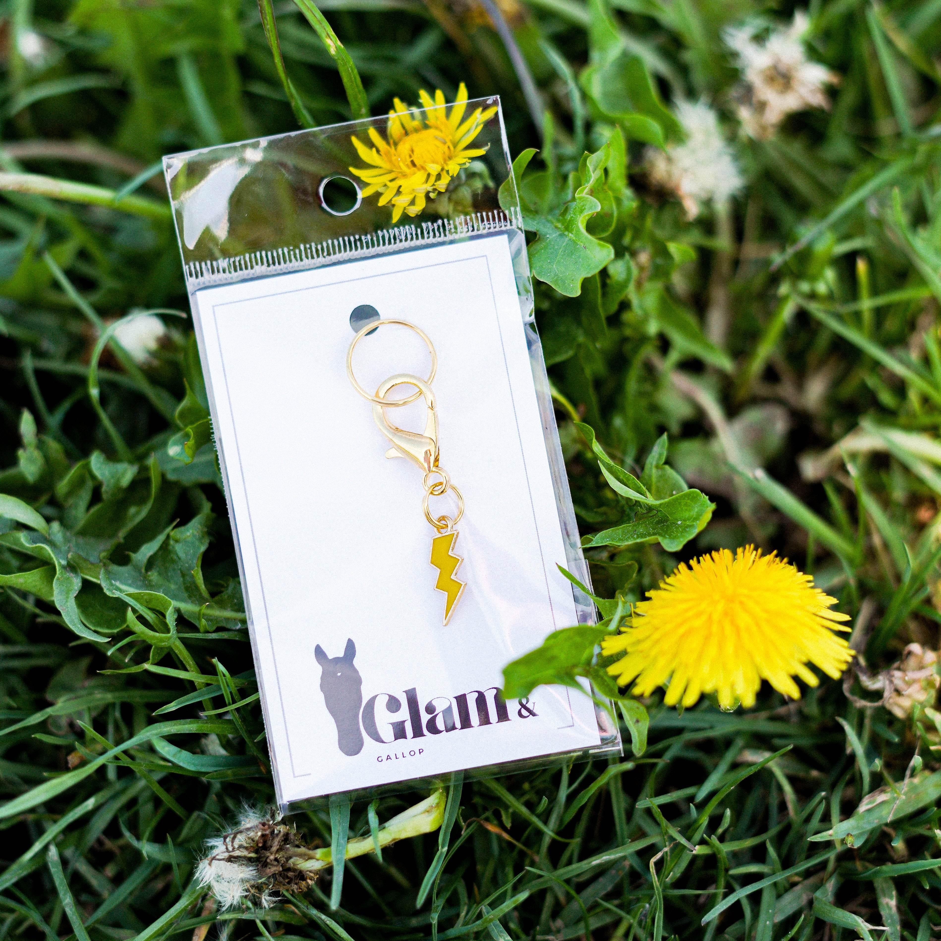 COLOR FLASH Charm