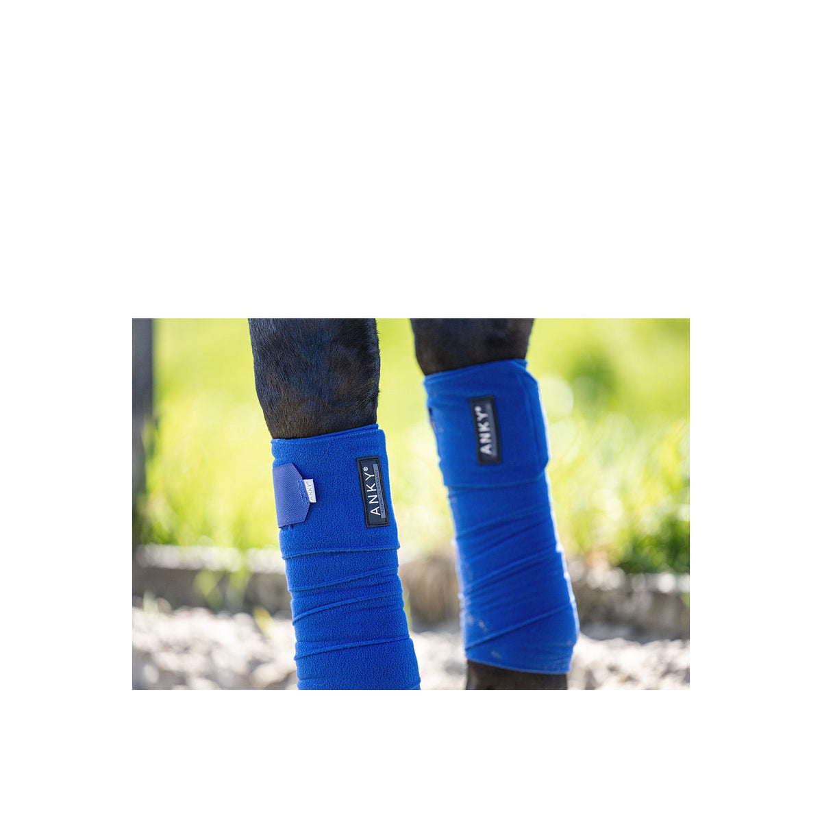ANKY® Bandagen ATB001