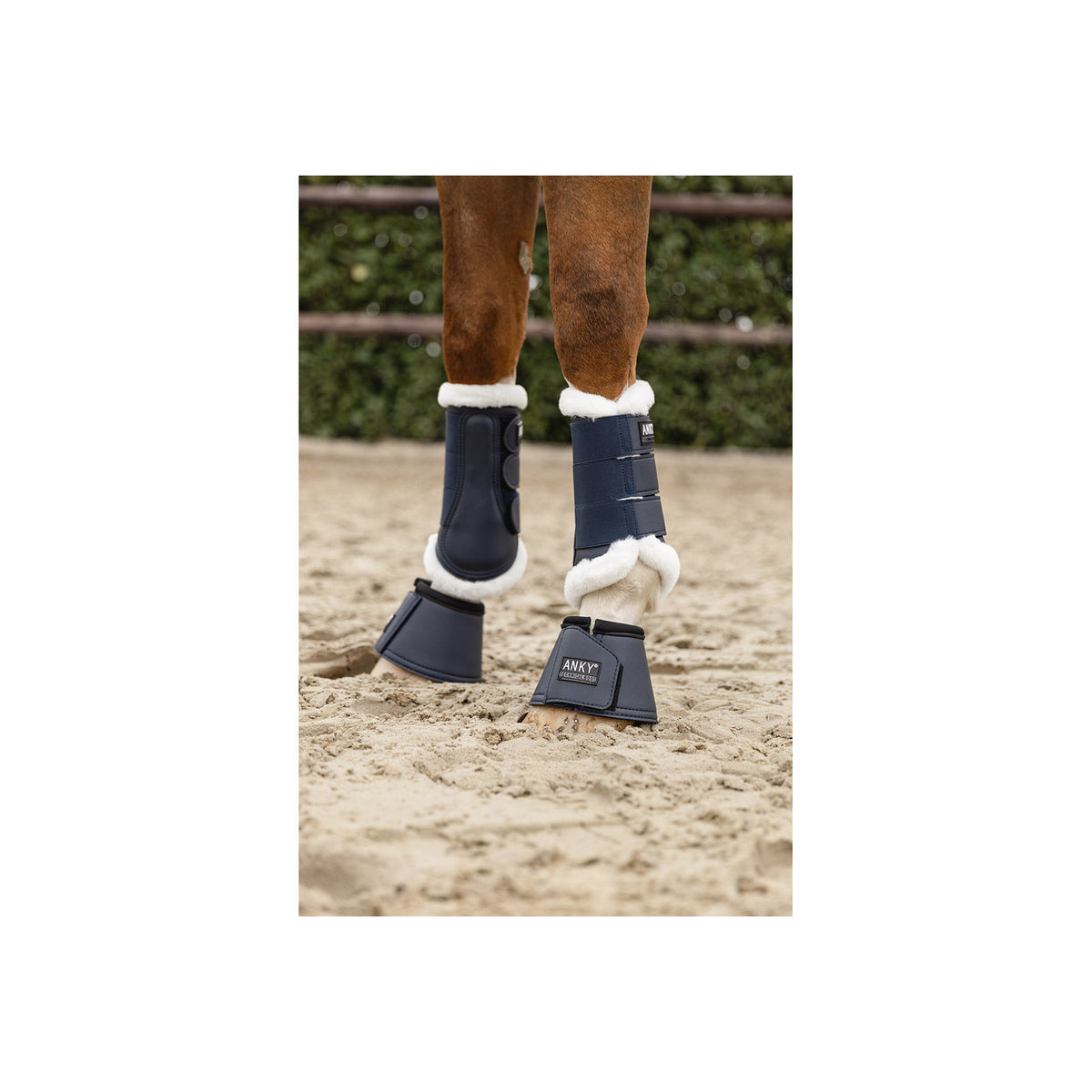 ANKY® Hufglocken ATB23005