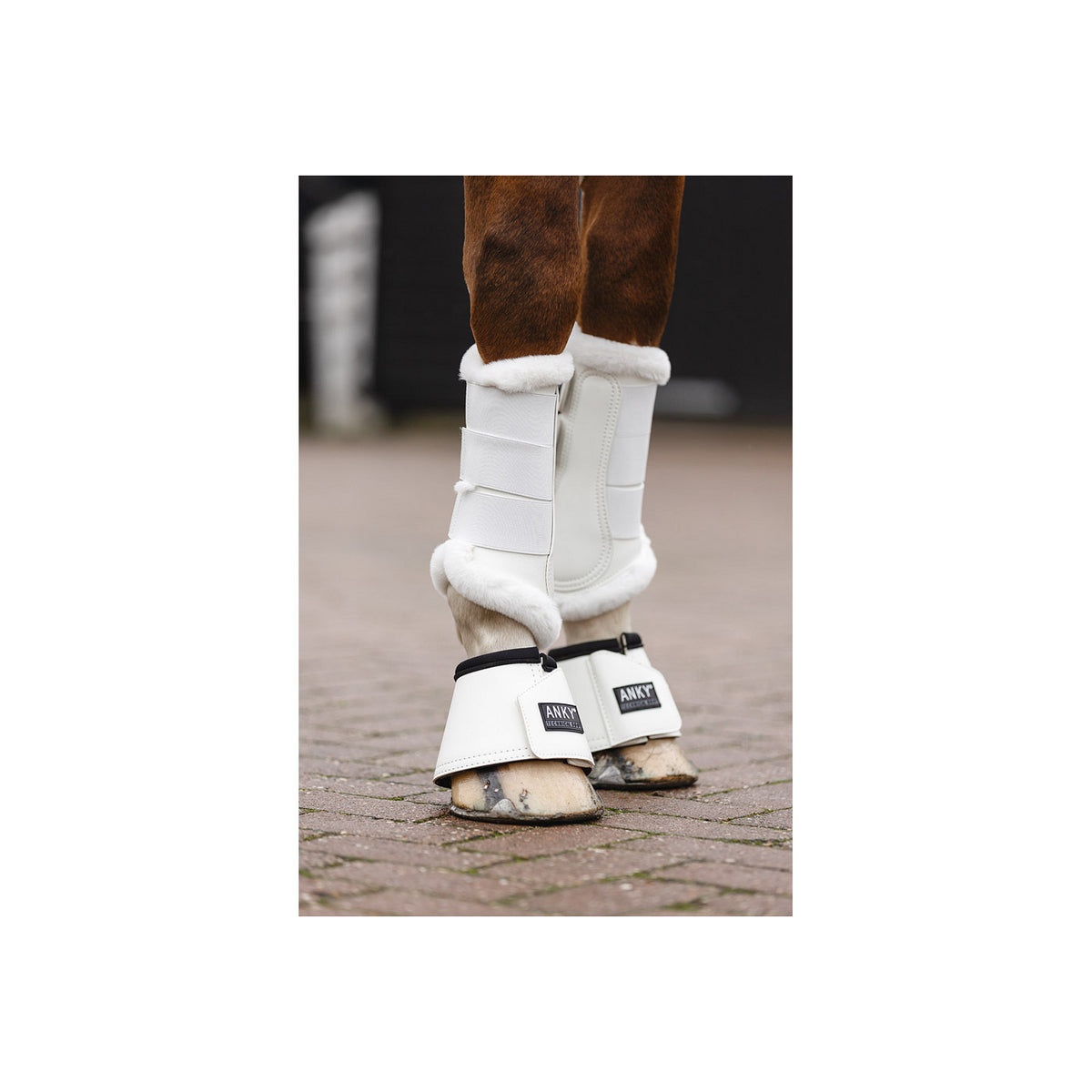 ANKY® Hufglocken ATB23005