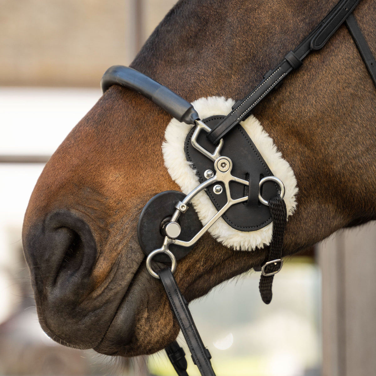 Hackamore Schutz Lammfell