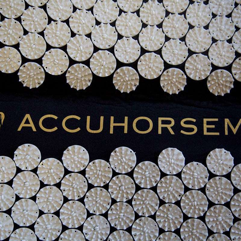 Accuhorsemat Cooler Akkupressurdecke mieten / leihen