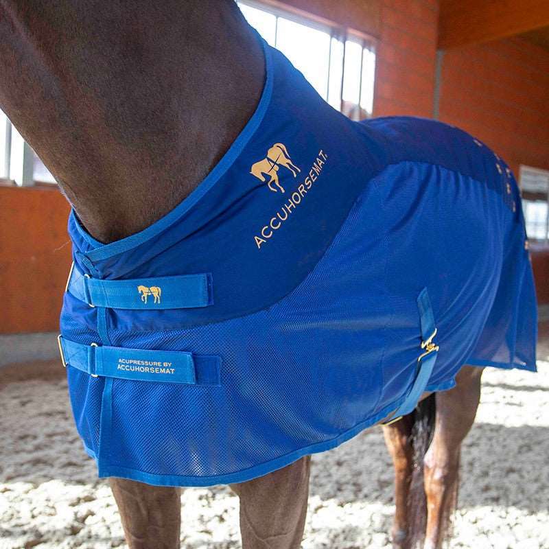 Accuhorsemat Cooler Akkupressurdecke mieten / leihen