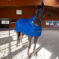 Accuhorsemat