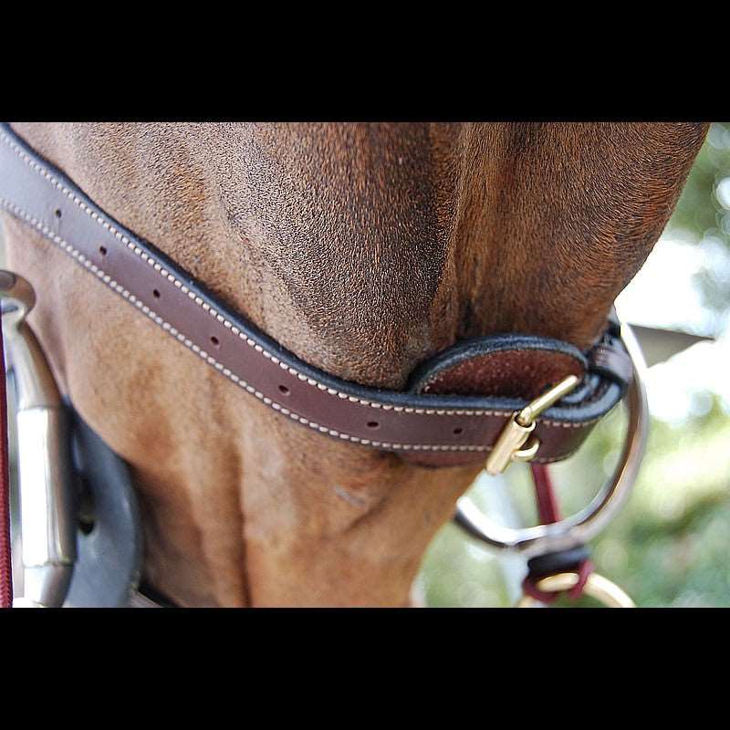 Anatomische Trense mit kombiniertem Reithalfter DYON Collection