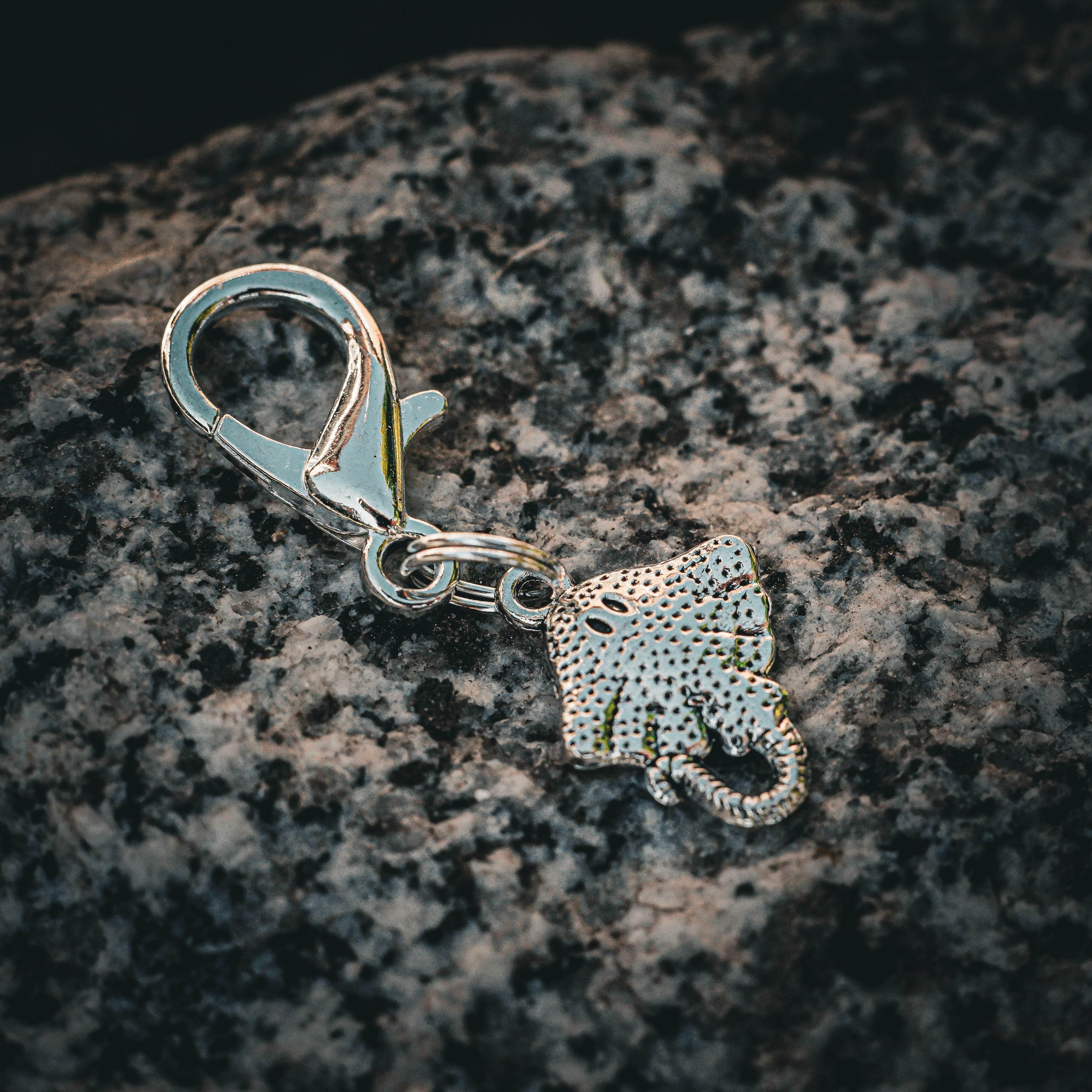 ROCHEN Charm