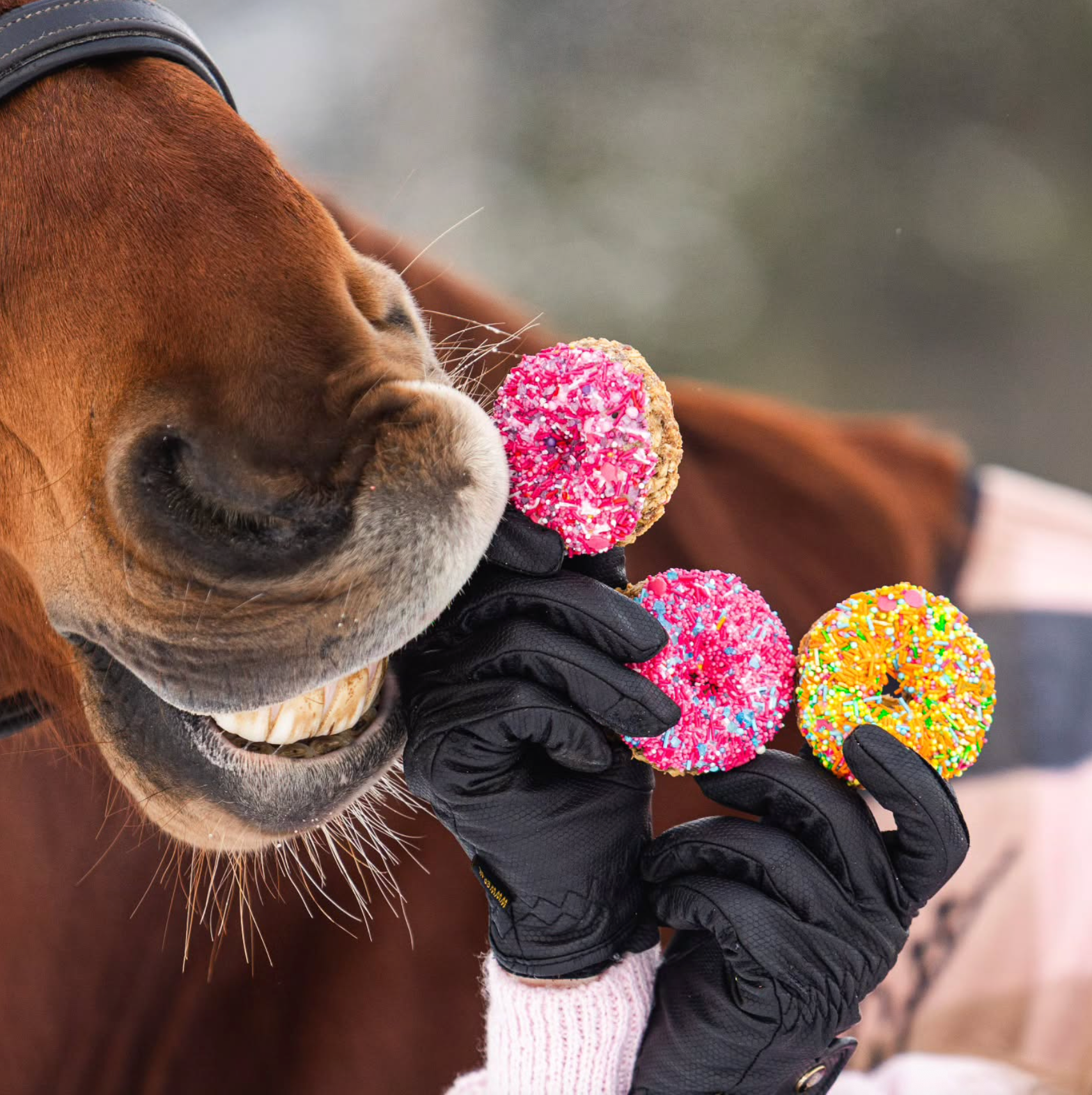 SPRINKLE DONUT Leckerlie - Pony Bueno